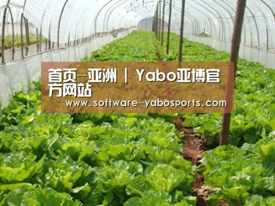 种植基地五