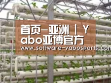 环境展示六
