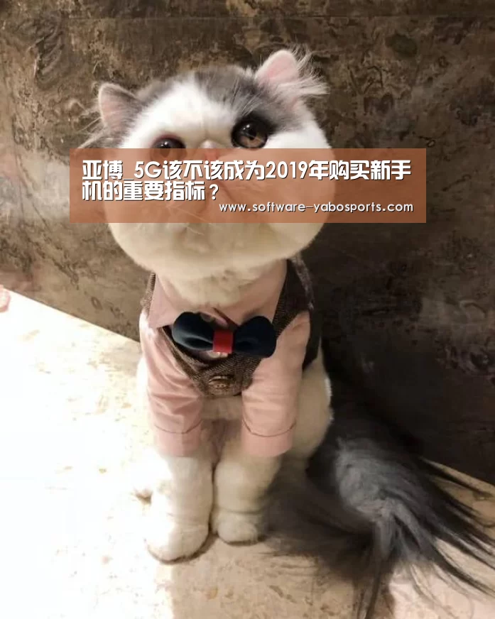 亚博_5G该不该成为2019年购买新手机的重要指标?(图4) 亚博_5G该不该成为2019年购买新手机的重要指标?(图4)